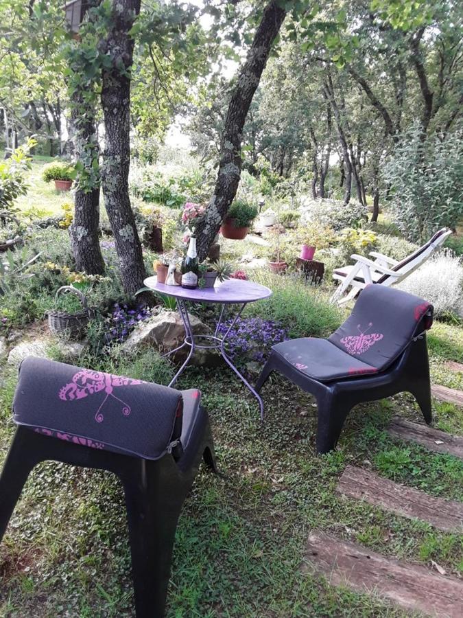 Apartments Bijou With Big Private Garden Near Umag Vilanija Luaran gambar
