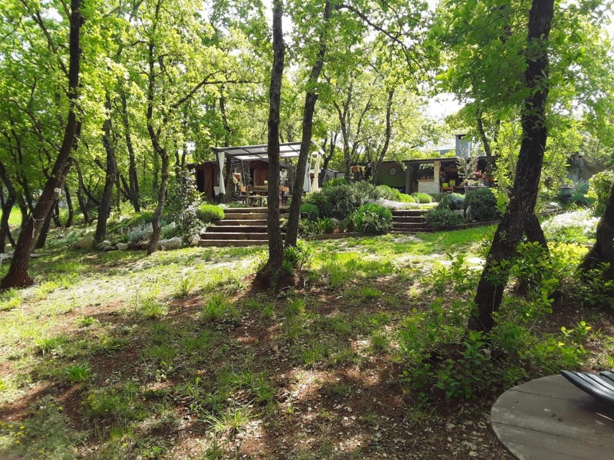 Apartments Bijou With Big Private Garden Near Umag Vilanija Luaran gambar