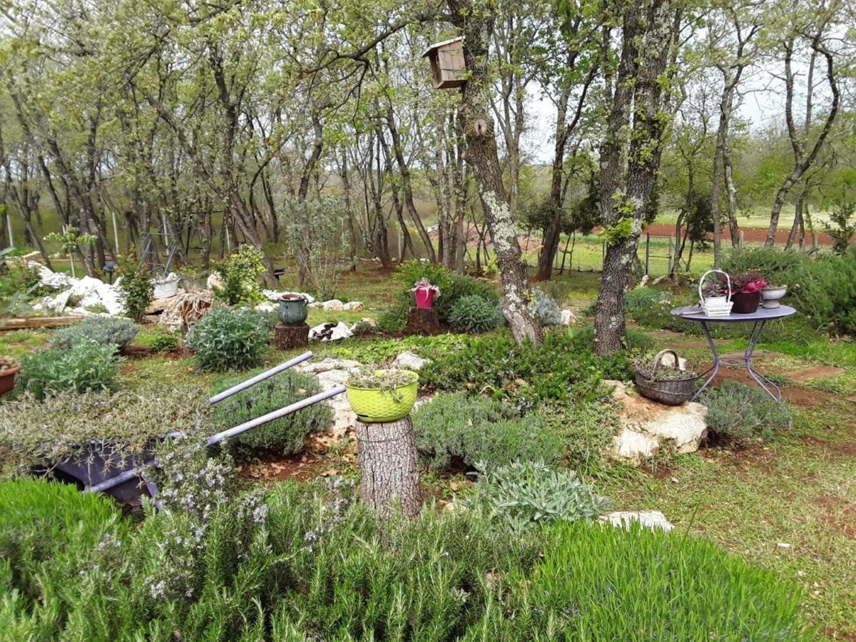Apartments Bijou With Big Private Garden Near Umag Vilanija Luaran gambar